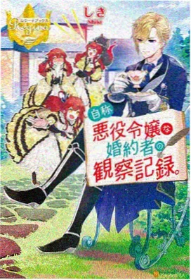 暗影编年史 动漫封面